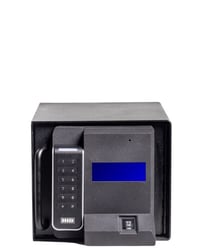 MS-series- sized-12
